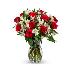 Flower auctor red tulip