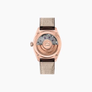 Omega co‑axial master chronometer 39 mm